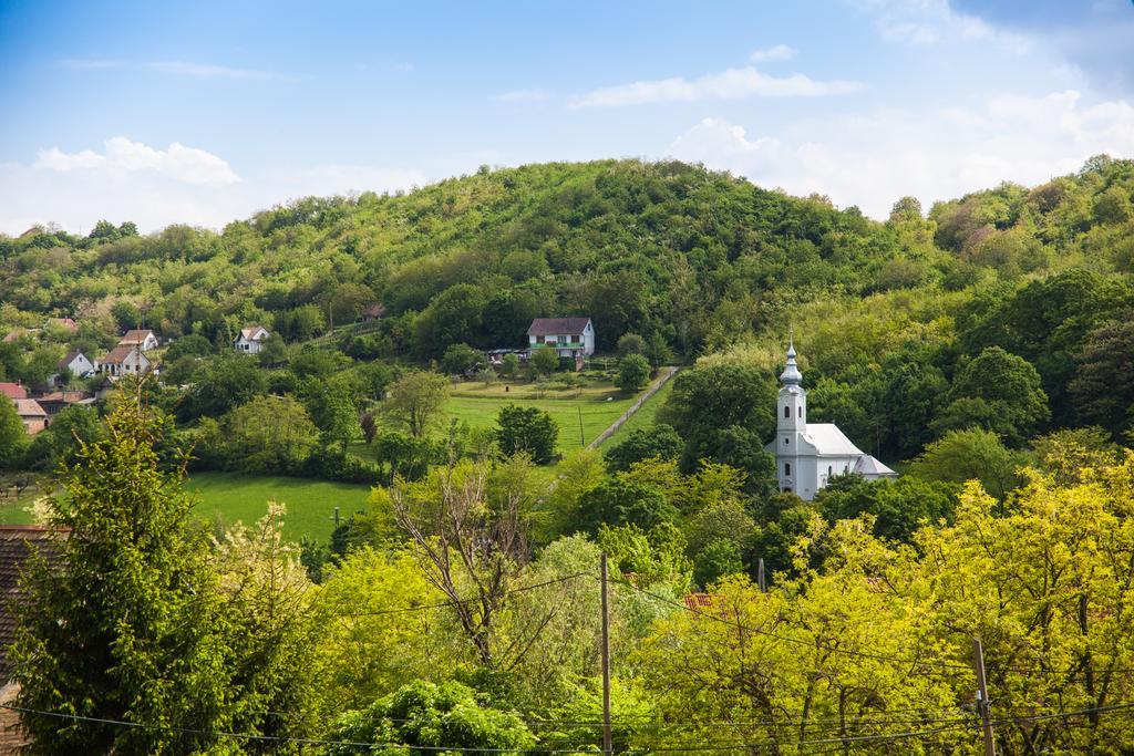 Lotuszvirag Vendeghaz Otel Szekszárd Dış mekan fotoğraf