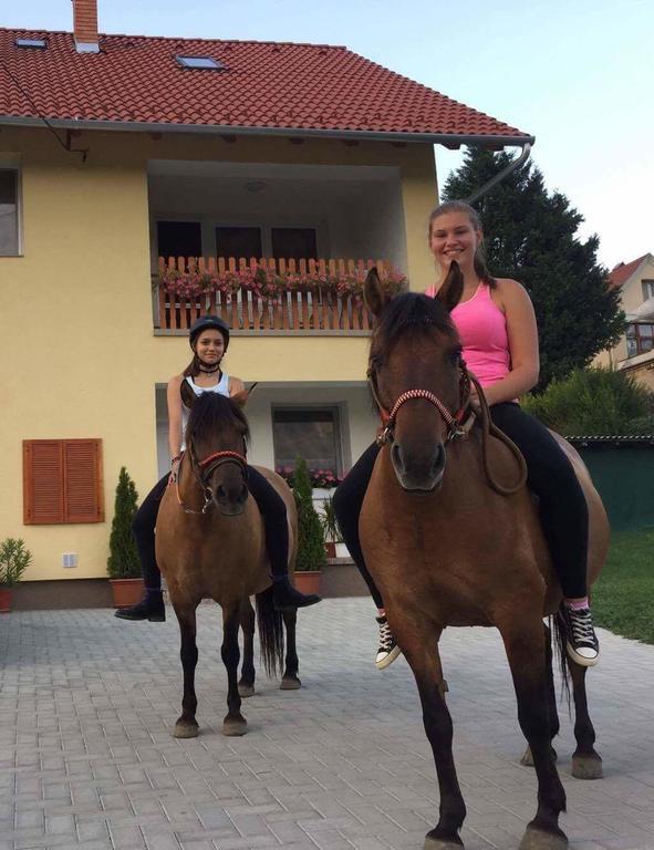 Lotuszvirag Vendeghaz Otel Szekszárd Dış mekan fotoğraf