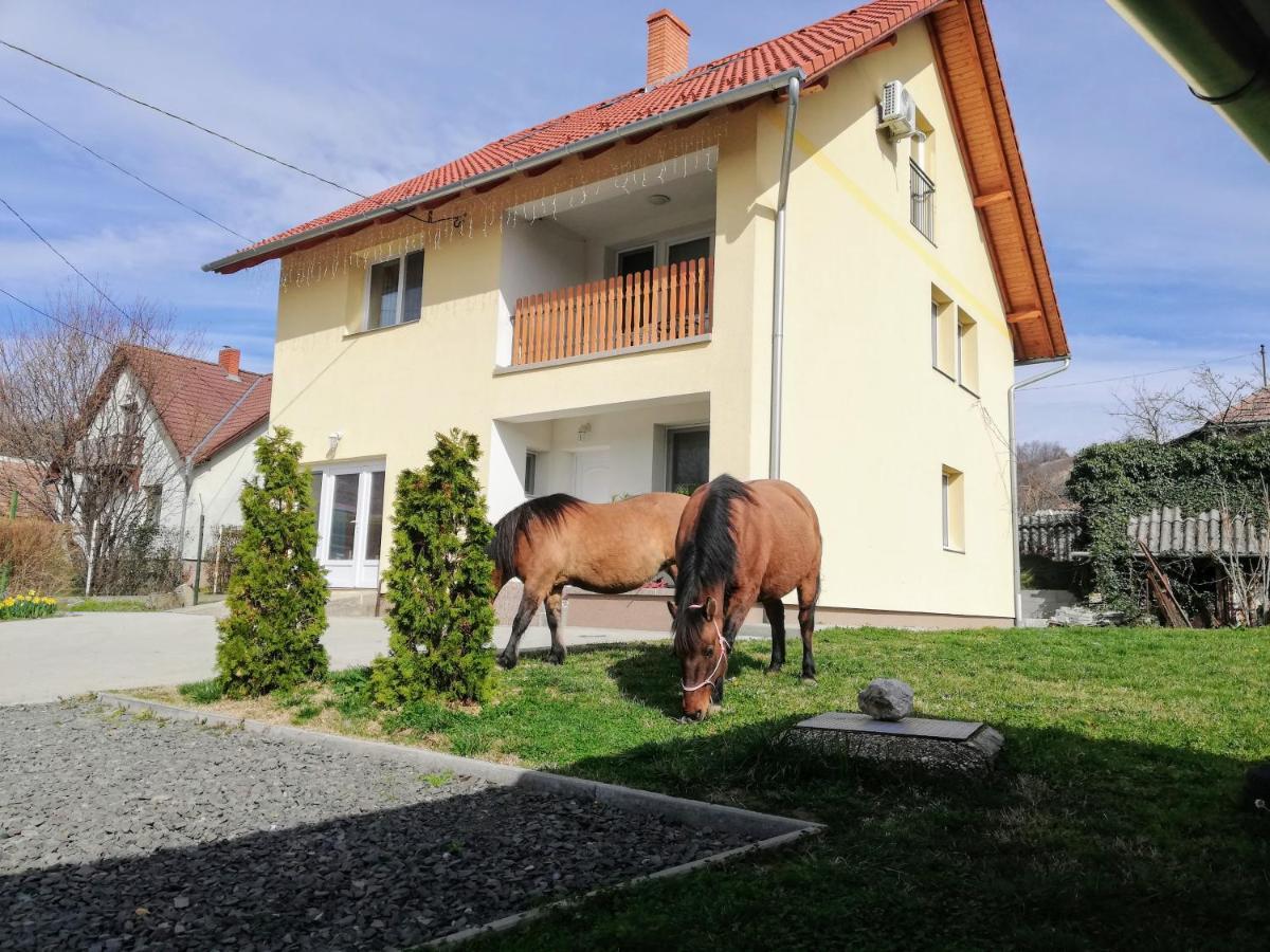 Lotuszvirag Vendeghaz Otel Szekszárd Dış mekan fotoğraf